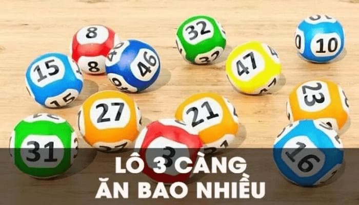 3 càng ăn bao nhiêu