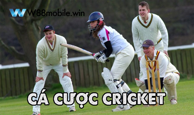 ca-cuoc-cricket