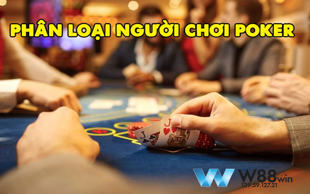 phân loại người chơi poker