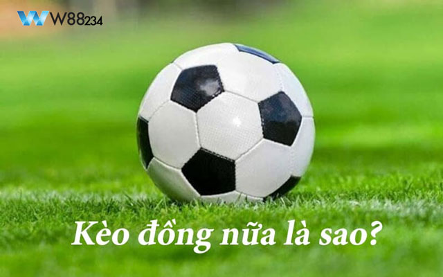 Giải đáp kèo đồng nửa là gì?