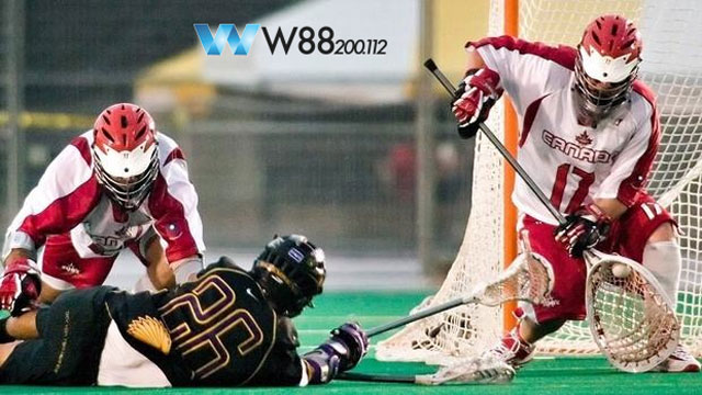 Hình minh họa bộ môn thể thao bóng vợt Lacrosse